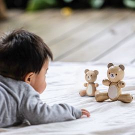 Petit ours