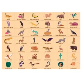 Puzzle cherche & trouve - Desert