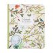 Cahier de coloriage et stickers Le botaniste - Le jardin du moulin