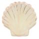 Assiettes - Watercolour Clam Shell