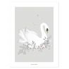 Affiche - Cygne - Fond gris