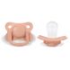 Lot de 2 tÃ©tines avec boÃ®te de stÃ©rilisation - Peach - 6 mois +