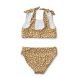 Bikini Bow - Mini leo & Golden caramel