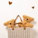 Doudou Teddy - 29 x 38 cm