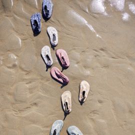 Chaussures de plage - Turtle