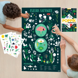 Poster éducatifs avec stickers repositionnables - Botanique - Poppik