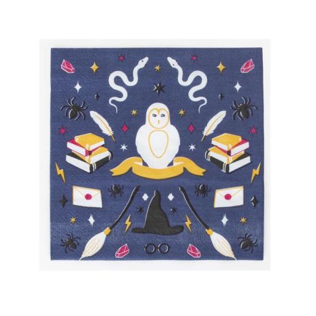 20 serviettes en papier - Sorcier - My little day