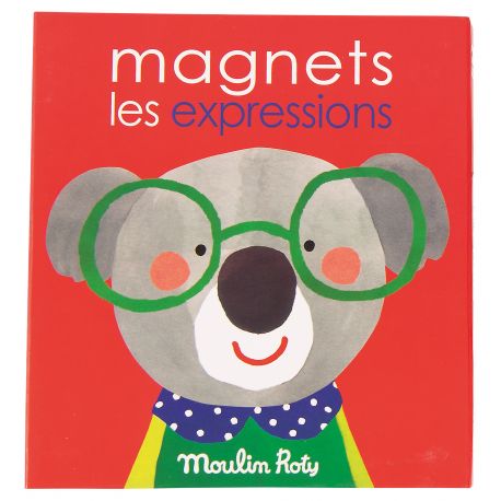 jeu magnétique des expressions