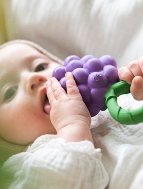 Hochets, jouets d'éveil bébé nourrissons - Le Petit Zèbre