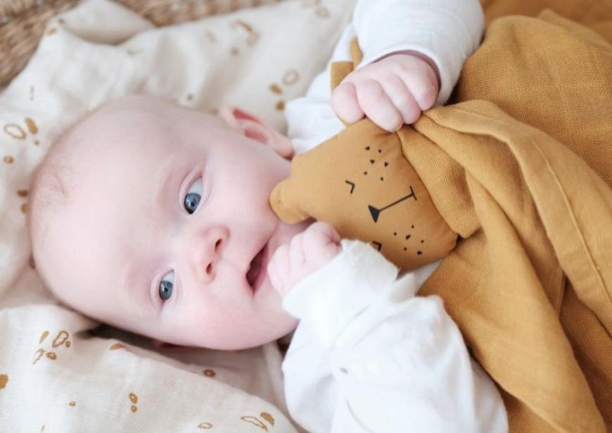 L'importance du doudou pour votre bébé - Choisir Ma Creche